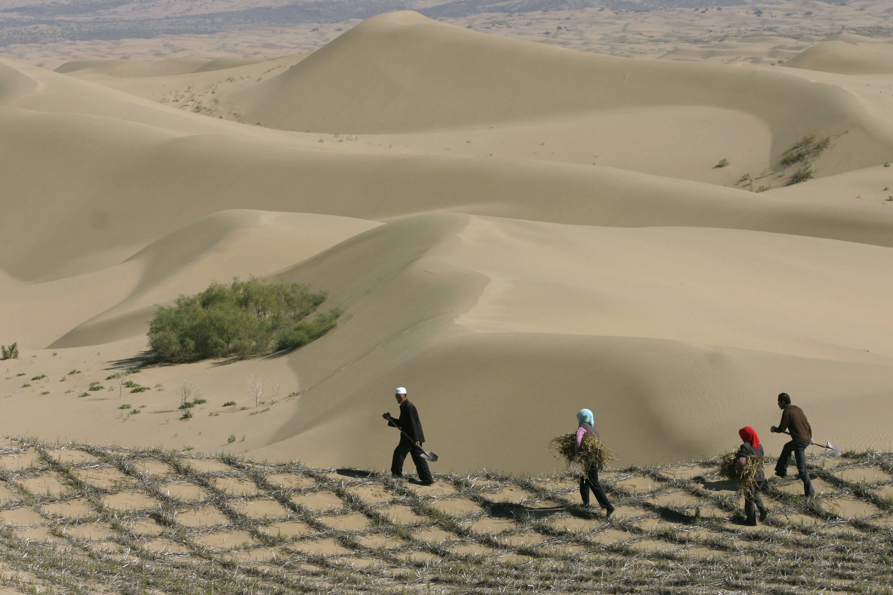 China is quickly turning into a desert, and it's causing problems