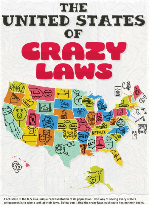 the-united-states-of-crazy-laws-www-bullfax